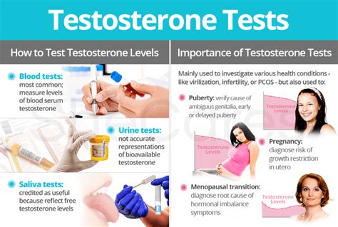Testosterone Level Test