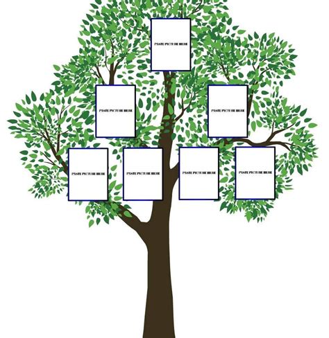 Arborele Genealogic Model