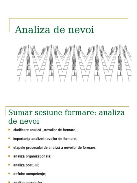 Analiza De Nevoi Model