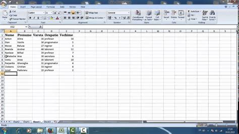 Baze De Date Excel