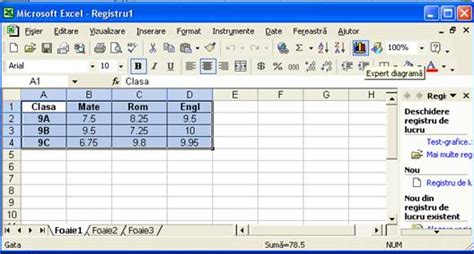 Calcul Tabelar Excel 2010
