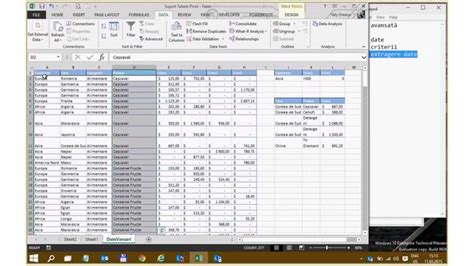 Filtrare Avansata Excel