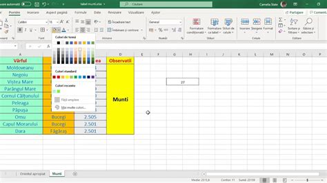 Formatare Celule Excel