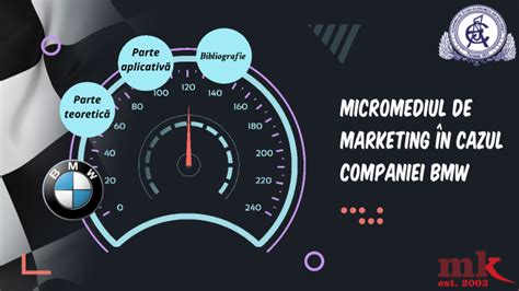 Micromediul De Marketing