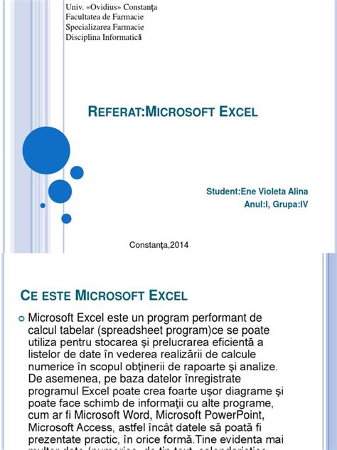 Microsoft Excel Referat