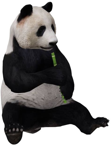 Panda 3D Google