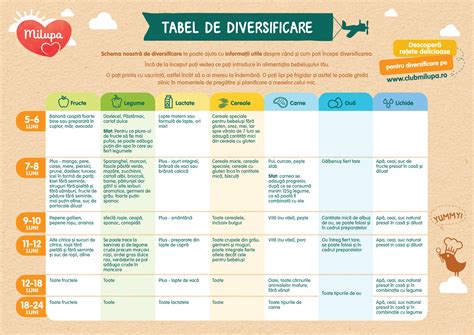 Tabel De Diversificare OMS - Ghid Complet Pentru Introducerea ...